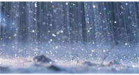 Games on Grass Fields Canceled - 05/02/2023