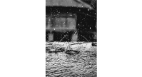 Games on Grass Fields Canceled Tonight - 07/18/2023